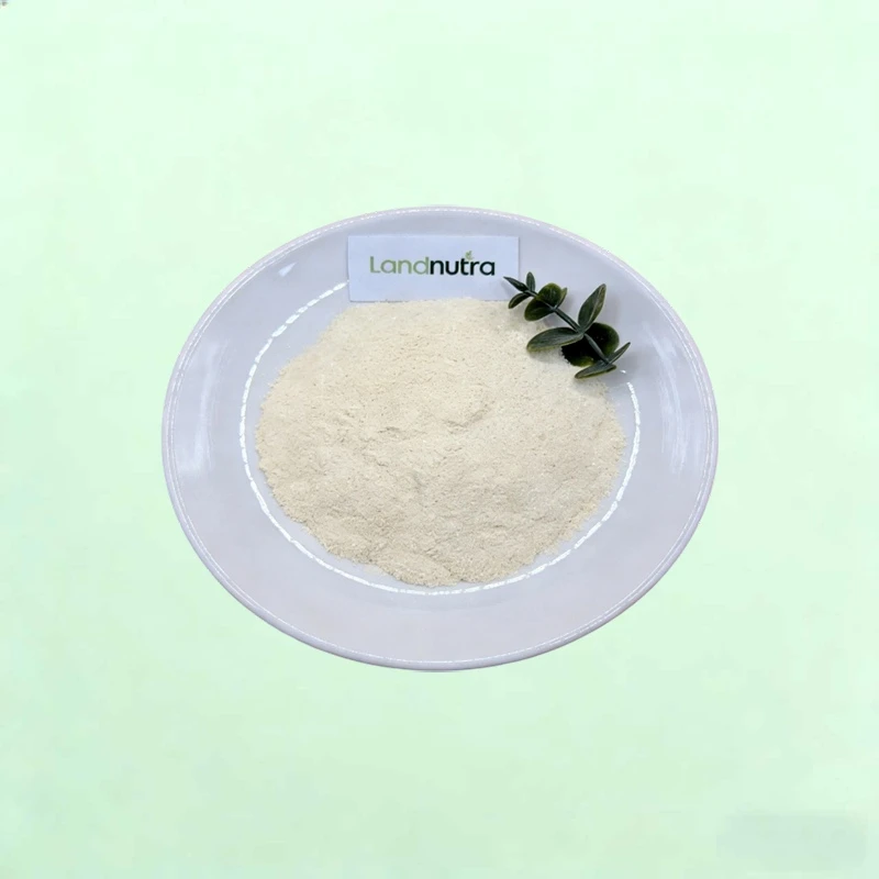 Trab tal-Ilma tal-Ġewż tal-Indi